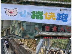 -栾川竹海野生动物园