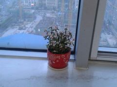 -吃饼人西餐(南开店)