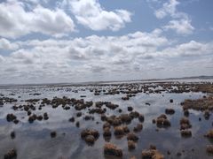 -花湖生态旅游区