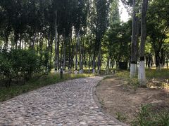 -大兴滨河森林公园