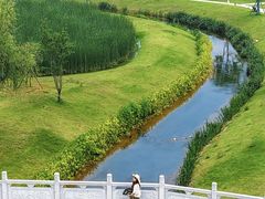 -洋湖国家湿地公园