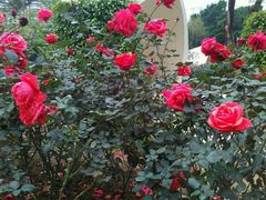 -人民公园(罗湖区)