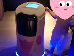 -上海佘山世茂艾美酒店