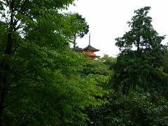 -有栖山 清光院 清水寺