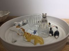 -猫里有甜