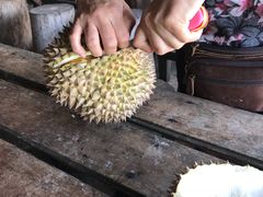 -槟城宝盛园民宿