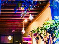 -先机泉水鸡汤(南山老君洞店)