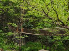-苍龙峡风景区