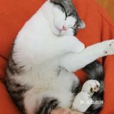 宝宝放电好去处—这个动物世界太萌啦