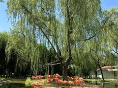 -石家庄市动物园