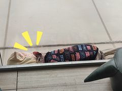 -藏猫猫咖啡主题馆(中央大道店)