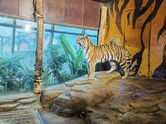 -皇家极地海洋世界-售票处