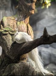 -Zoolung Zoolung动物主题公园(海信广场店)