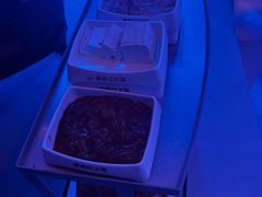 -季季红火锅(动壹店)