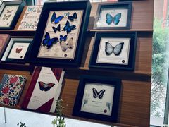 -PAGEONE(北京坊店)