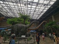 -国家自然博物馆