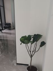 -FOR YOU造型