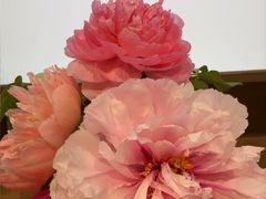 -尚帝·洛阳菜(八號院店)