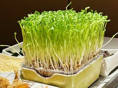 -海底捞火锅(银泰中心店)