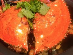 -正阳春烤鸭店(杨楼店)