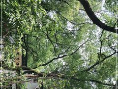 -楼外楼(玉泉店)