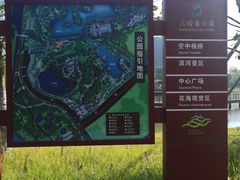 -王借岗森林公园