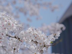 -龙美术馆(西岸馆)