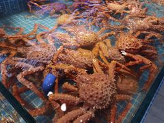 -驻海渔市(置信店)