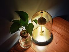 -C Cafe(朵云书院·戏剧店)