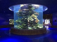 -多彩贵州城极地海洋世界