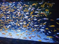 -成都浩海立方海洋公园