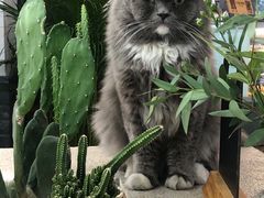 -小涵家蛋糕·咖啡(金山湖花园店)