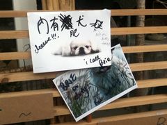 IMG_2679-南丫岛