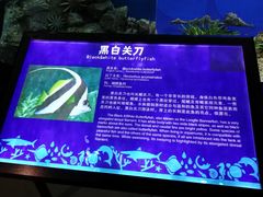 -福州罗源湾海洋世界旅游区