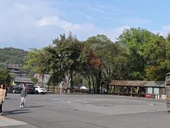 -句容茅山景区