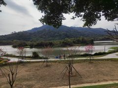 -风云岭森林公园