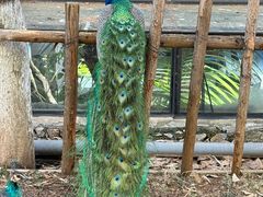 -昆明动物园