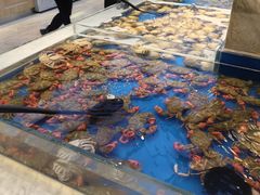 -川骄海鲜自助(河东店)