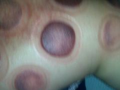 -舒馨坊养生会所·足浴·油压·SPA(瑞景店)