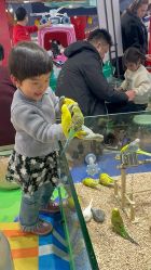 点击看大图 -哈姆雷斯(王府井百货大楼店)