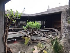 -西雅图水族馆
