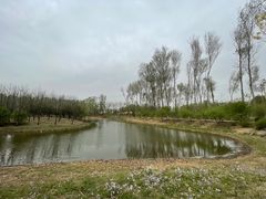 -东郊湿地公园