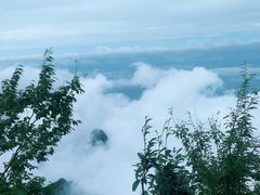 -张家界天门山国家森林公园