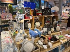 -猫的天空之城概念书店(北戴河蔚蓝海岸店)