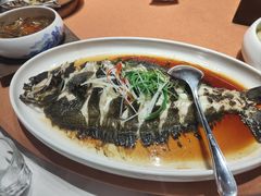 家常烧牙片鱼-双合园·海鲜水饺青岛菜(万佳广场店)