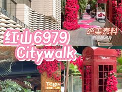 -Tegu泰古莲·泰国餐厅(红山6979店)