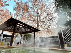 -春晖园度假酒店温泉