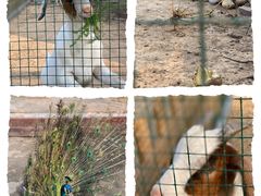 -潭柘厚院&山顶烤肉(潭柘寺店)