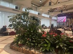 -金河半岛园林酒家(金融城店)