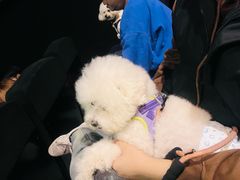 -天津美亚HeyLED影城(天津水游城店)